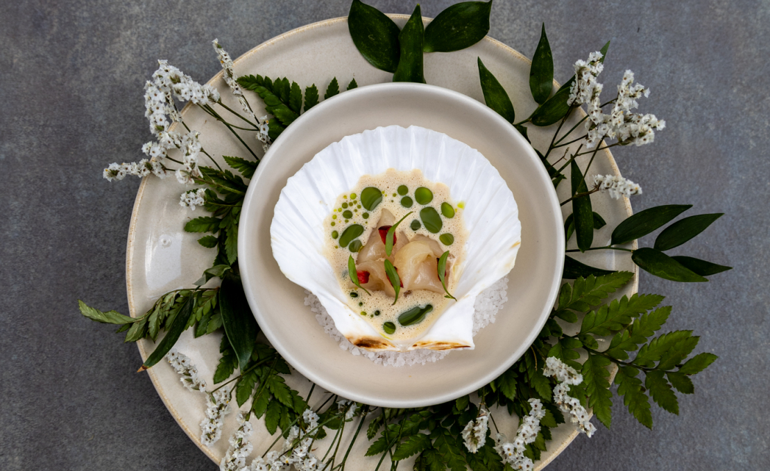 Dish 1 by Christian Piwowar Dish 1 by Christian Piwowar