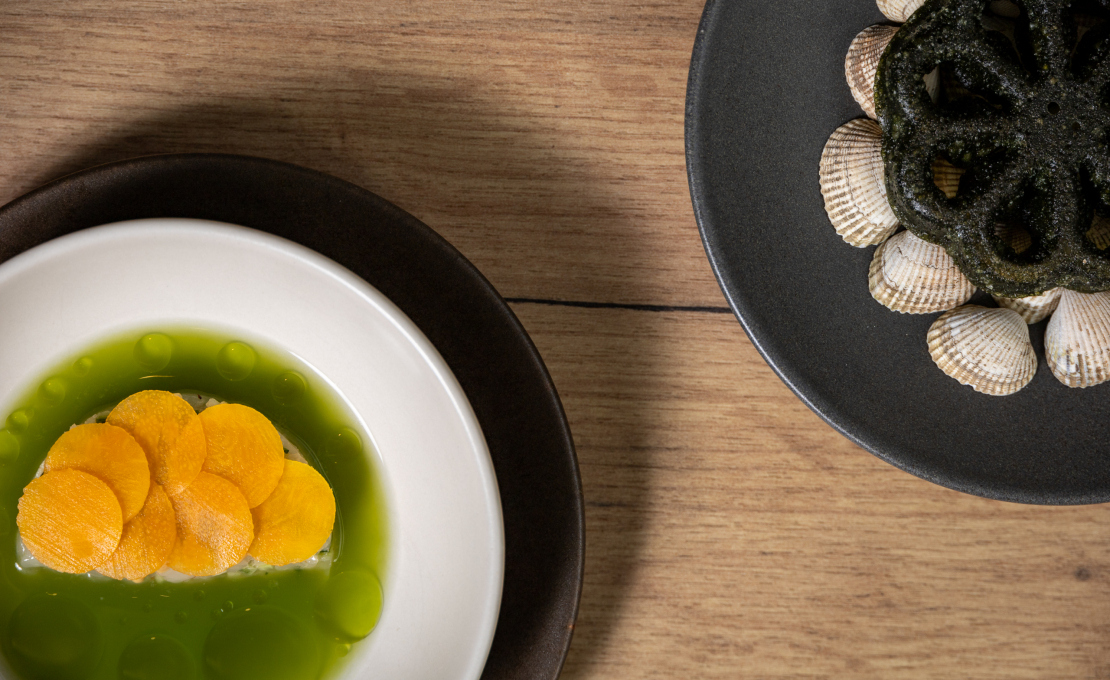 Dish 7 by Christian Piwowar Dish 7 by Christian Piwowar